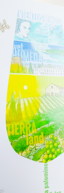 vino de manzanilla